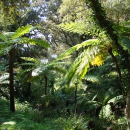 visite de jardin et bien-etre var groupe