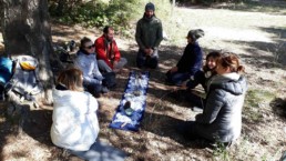 collation de fin de bain de foret dans le var