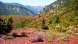 gorges rouges mercantour