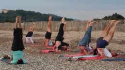 yoga et bien-être dans nature var