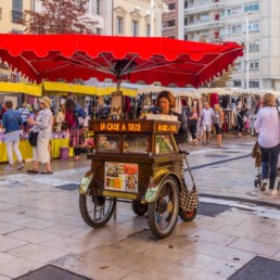 découverte ludique de toulon